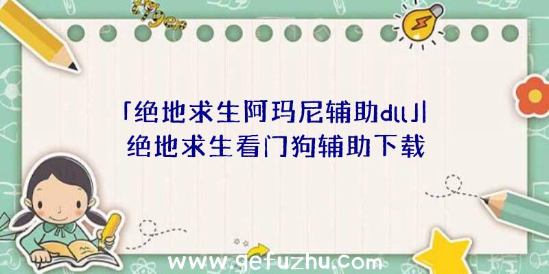 「绝地求生阿玛尼辅助dll」|绝地求生看门狗辅助下载